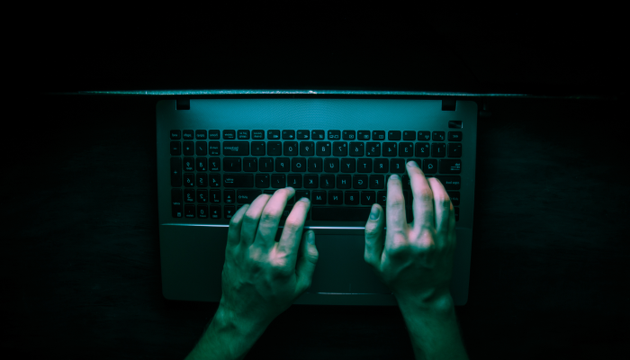 Internet Solicitation & Computer Sting Operation
